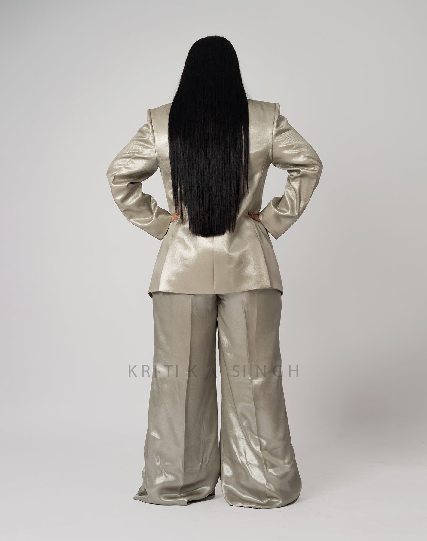 SilverFly Silver Hand Embroidered  Pant-Suit